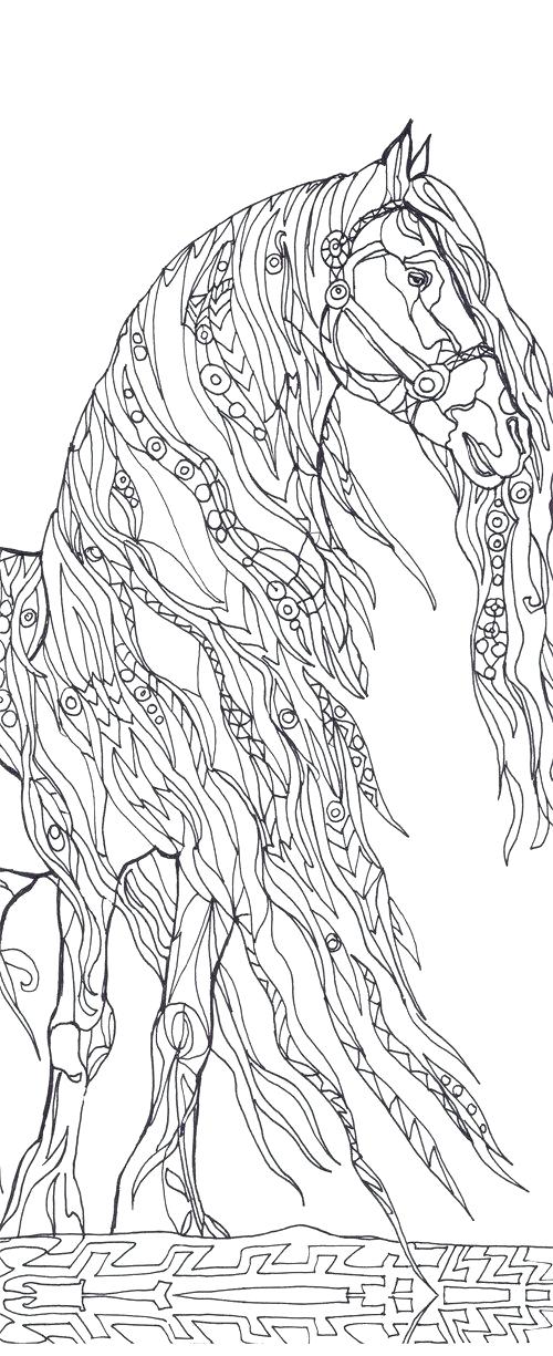 500x1225 Western Horse Coloring Pages Professional