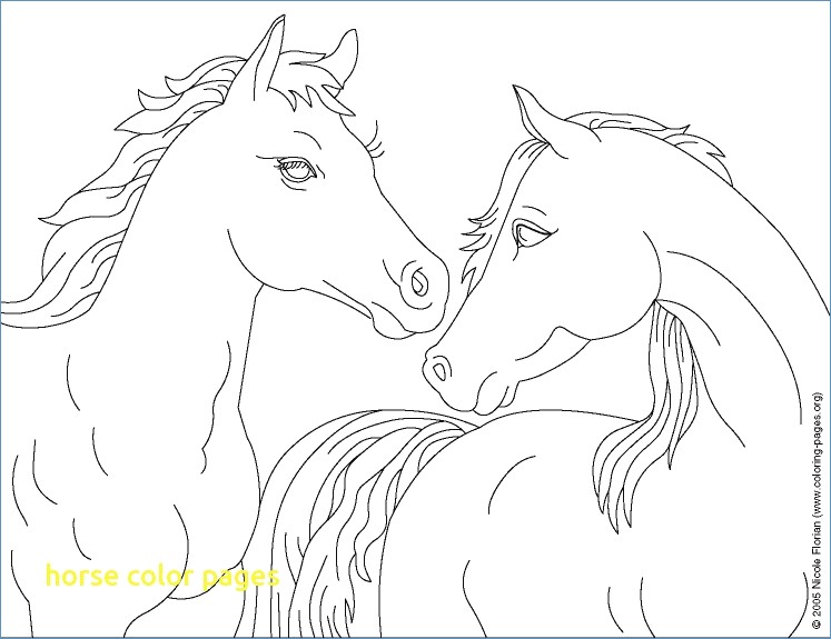 747x575 Cowboy Horse Coloring Page For Boys