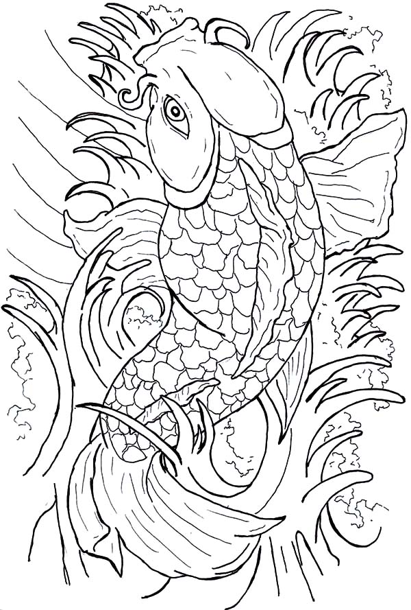 Coy Fish Coloring Pages