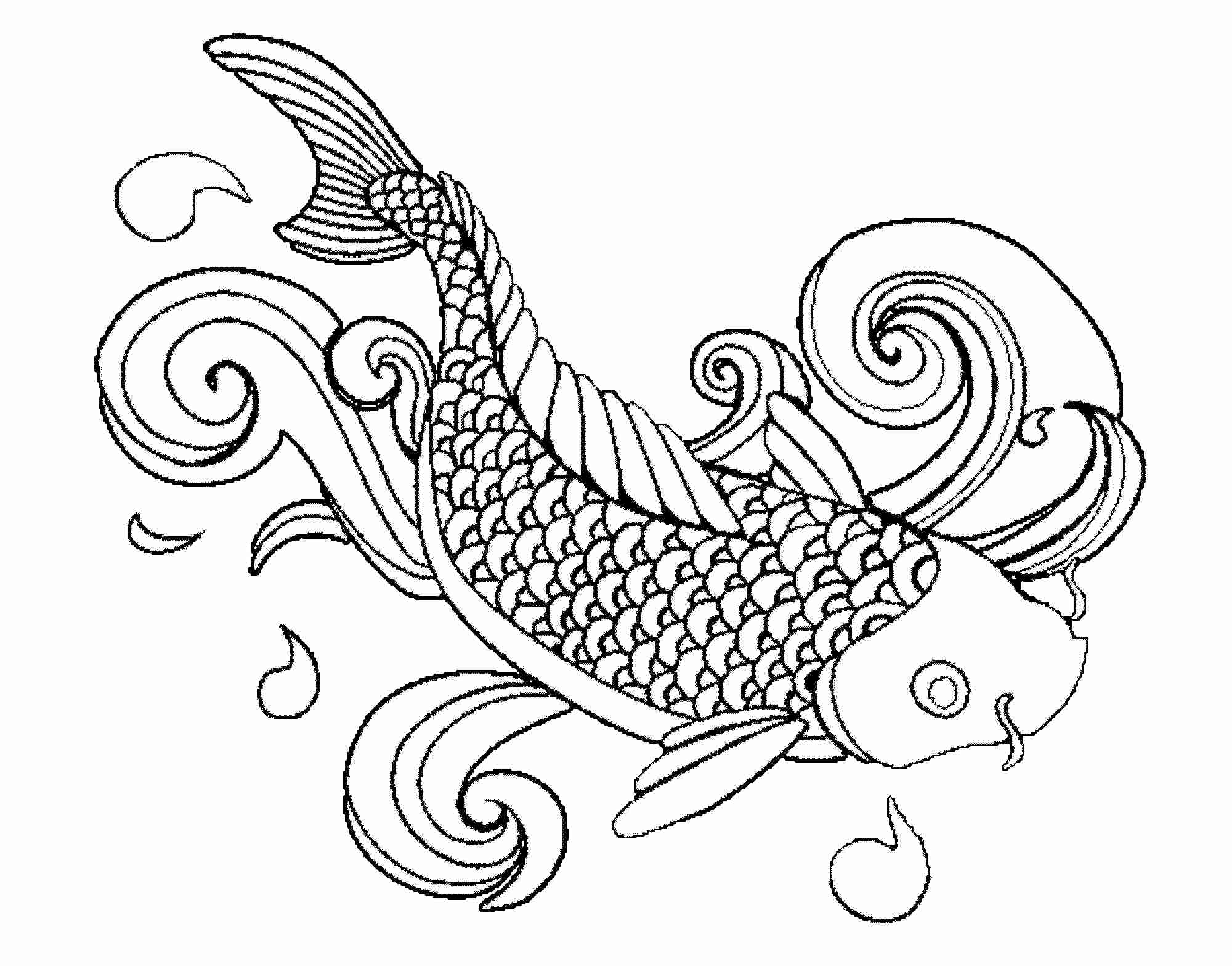 2000x1567 Coy Fish Coloring Pages Olegratiy