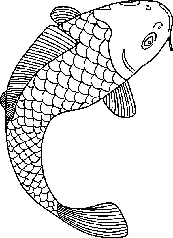 Coy Fish Coloring Pages at GetDrawings | Free download