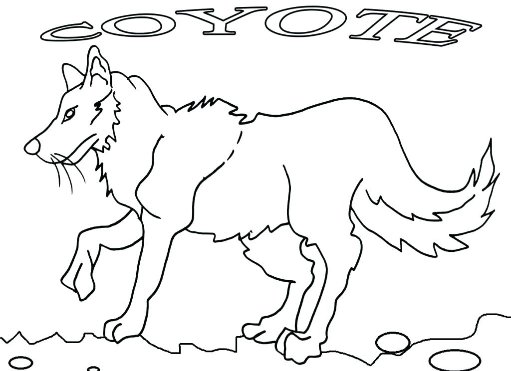 1024x744 Coyote Coloring Pictures Kids Coloring Free Printable Coyote