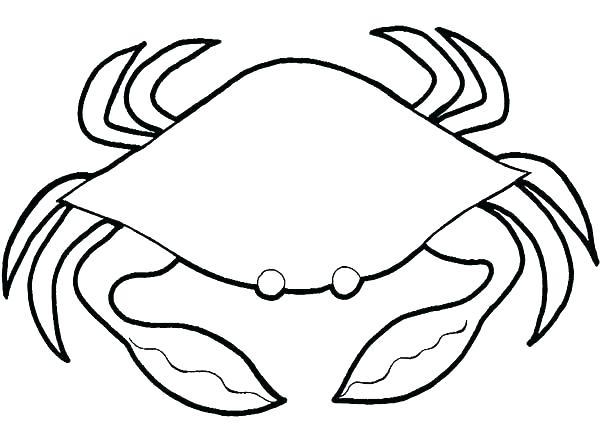 600x434 Hermit Crab Coloring Page Crab Coloring Pages M Sketch Of Blue