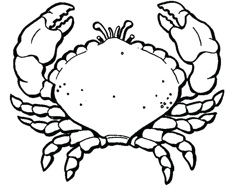 795x634 Hermit Crab Coloring Pages