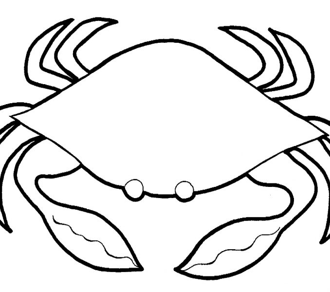 678x600 Crab Colouring Pages Kids Coloring
