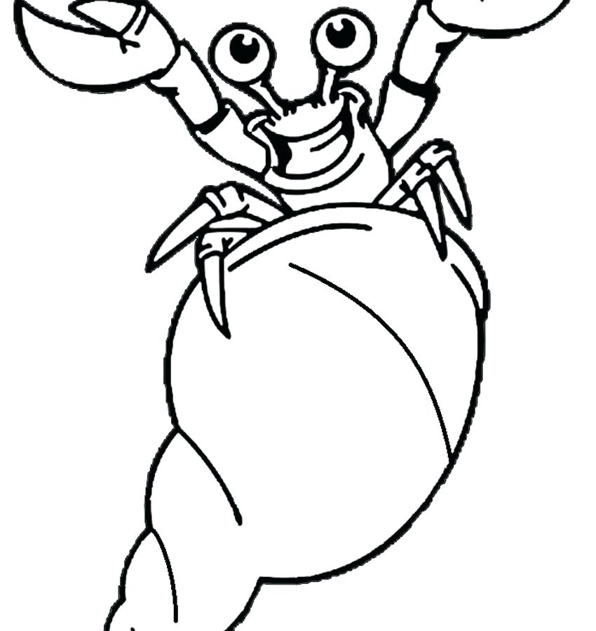850x900 Hermit Crab Coloring Pages Printable Coloring Pages Of Animals