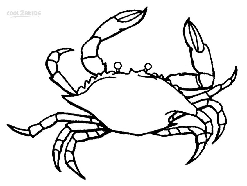 850x640 Printable Crab Coloring Pages For Kids