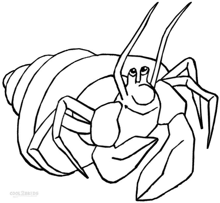 850x784 Printable Hermit Crab Coloring Pages For Kids