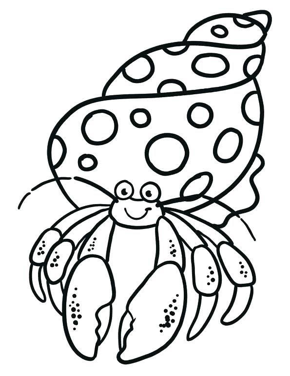 595x770 Coloring Pages Crab