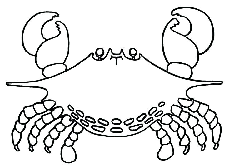 736x538 Crab Coloring Pages For Kids