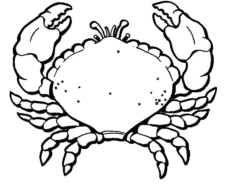 795x634 Crab Coloring Sheet