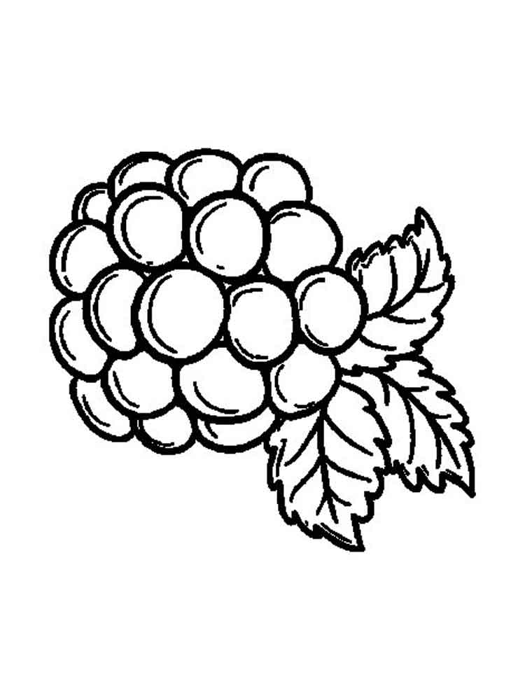 750x1000 Free Printable Blackberry Coloring Pages For Kids