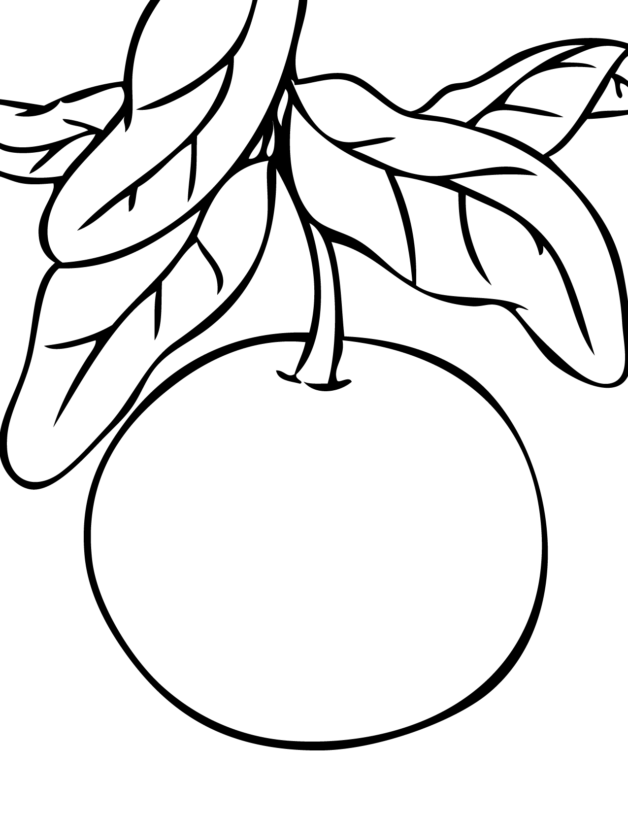 1275x1650 Fresh Grapefruit Coloring Pages Design Printable Coloring Sheet