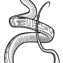 220x220 Crane Coloring Pages