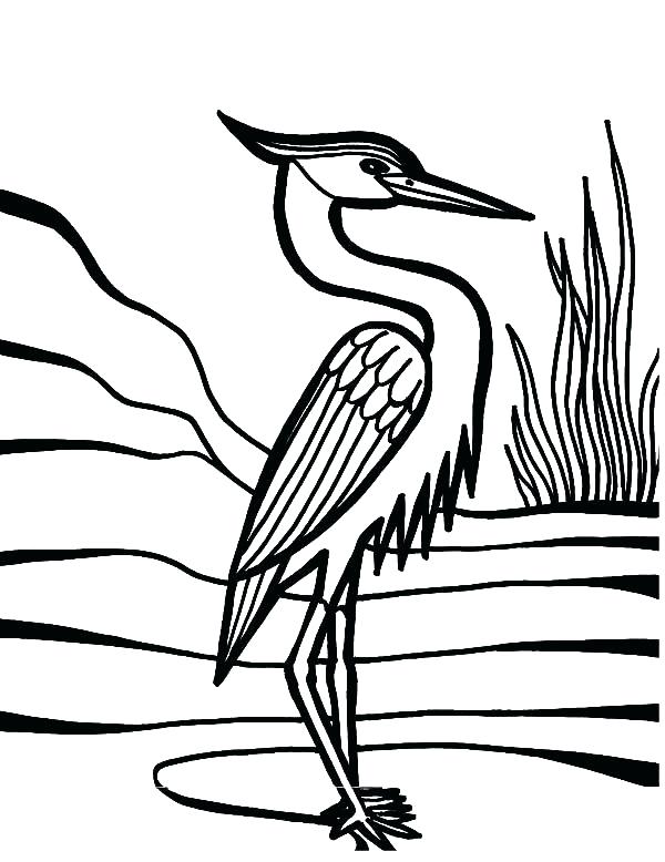 600x778 Peacock Feather Coloring Page Feather Coloring Page Crane Bird