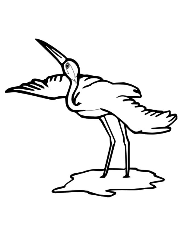 600x799 Whooping Crane Bird Coloring Pages