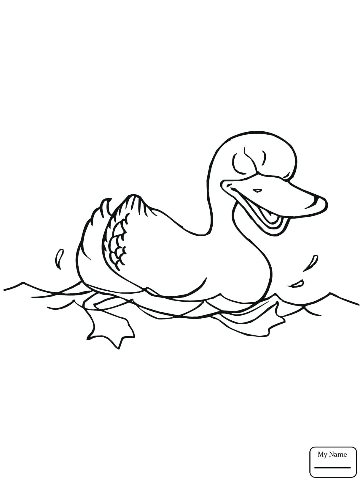 1224x1632 Special Pond Animals Coloring Pages Crane In The Page Free