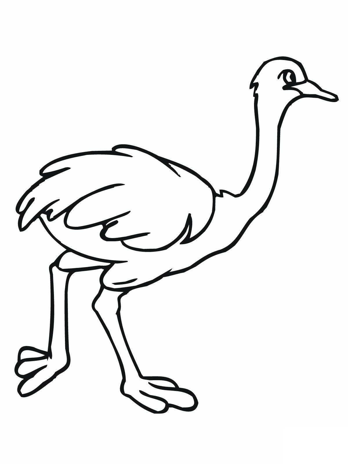 1200x1600 Printable Ostrich Coloring Pages For Kids Ostrich Coloring Page