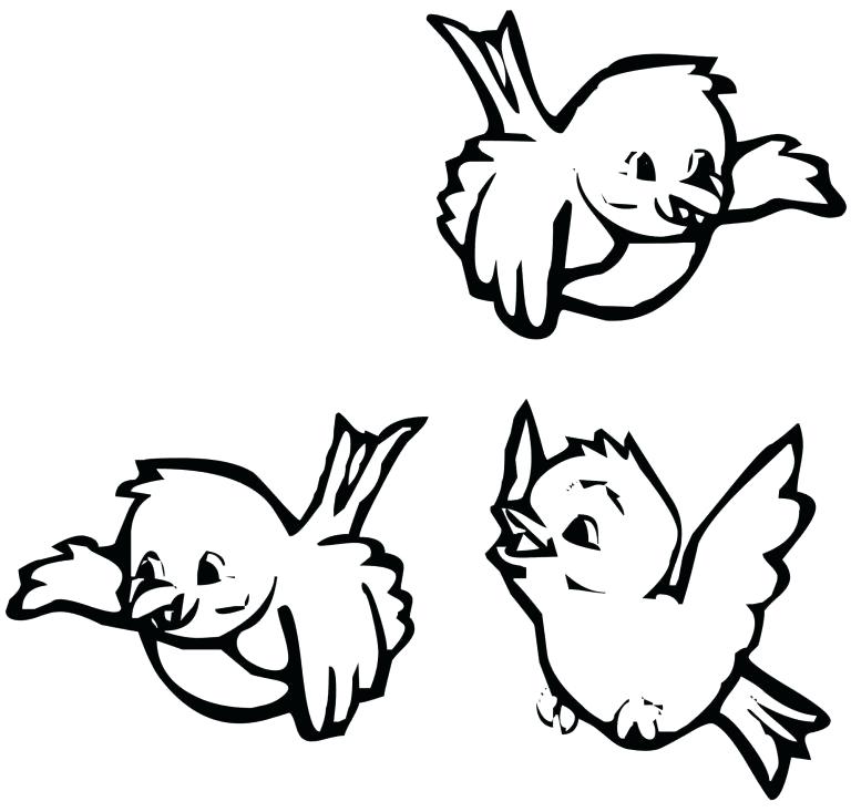 768x733 Bird Coloring Pages For Preschoolers Download Bird Coloring Pages