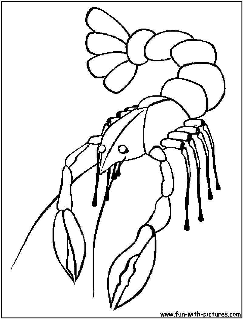 800x1050 Crawfish Coloring Page