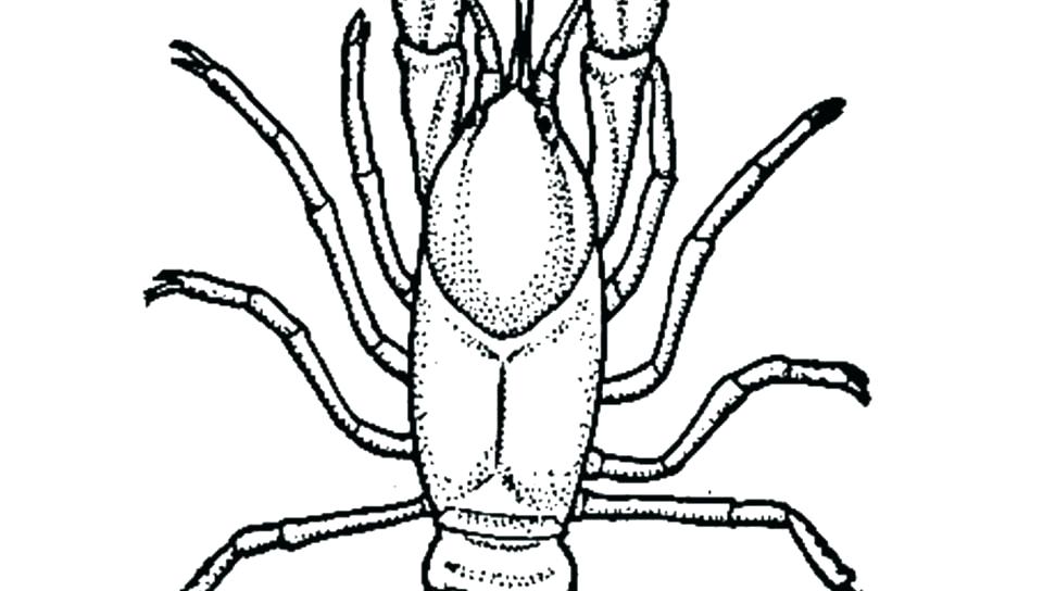 960x544 Coloring Page Printable Coloring Pages For Kids Free Coloring