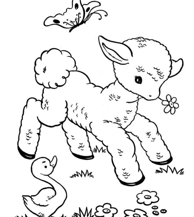 804x900 Farm Scenering Page Pages Farming Scenes Az For Kids Breathtaking