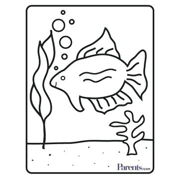 360x360 Coloring Pages Of Names Create Your Own Coloring Pages Aquarium