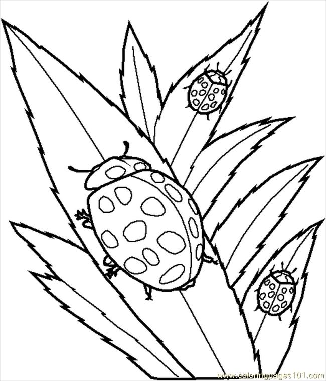 650x761 Create Your Own Coloring Book Online Other Kids Coloring Pages