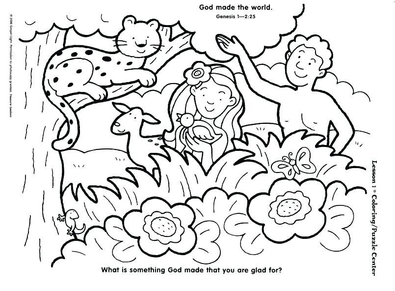 805x592 The Creation Coloring Pages For Children Bible Coloring Books