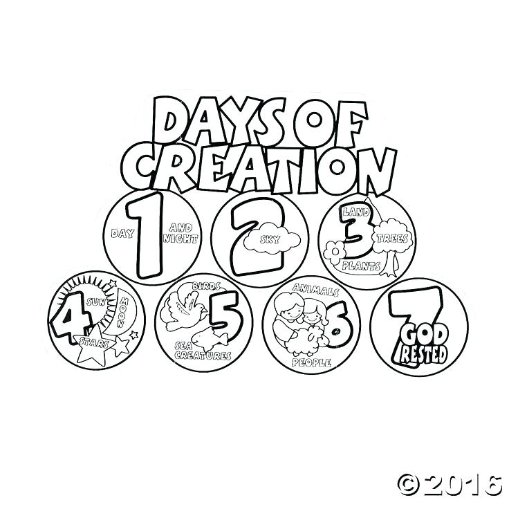 736x736 Creation Coloring Pages Creation Days Numbers Black White Art