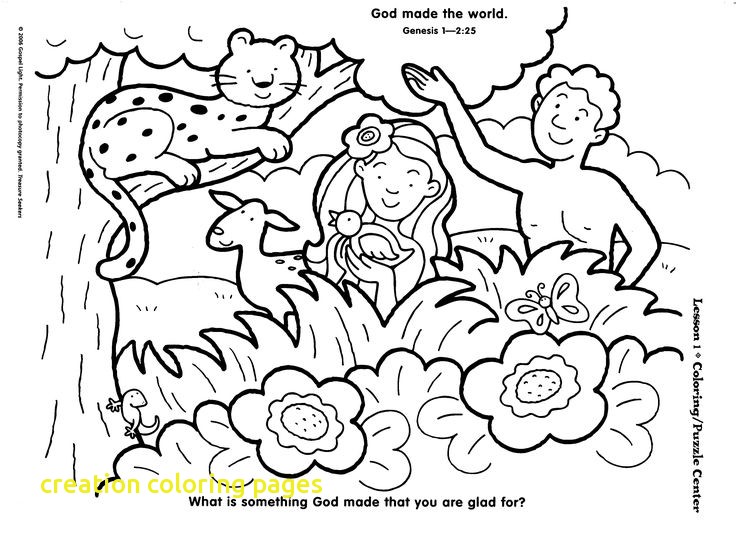 736x541 Creation Coloring Pages For Kindergarten Archives