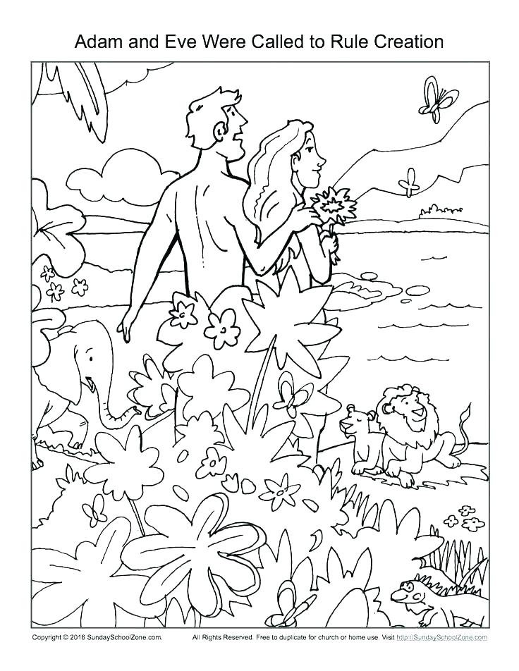 736x952 Creation Coloring Page Days Of Creation Coloring Pages Creation