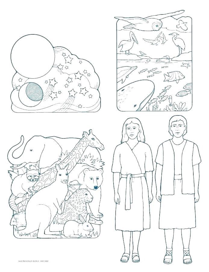 694x902 Creation Coloring Page Creation Color Pages Creation Coloring