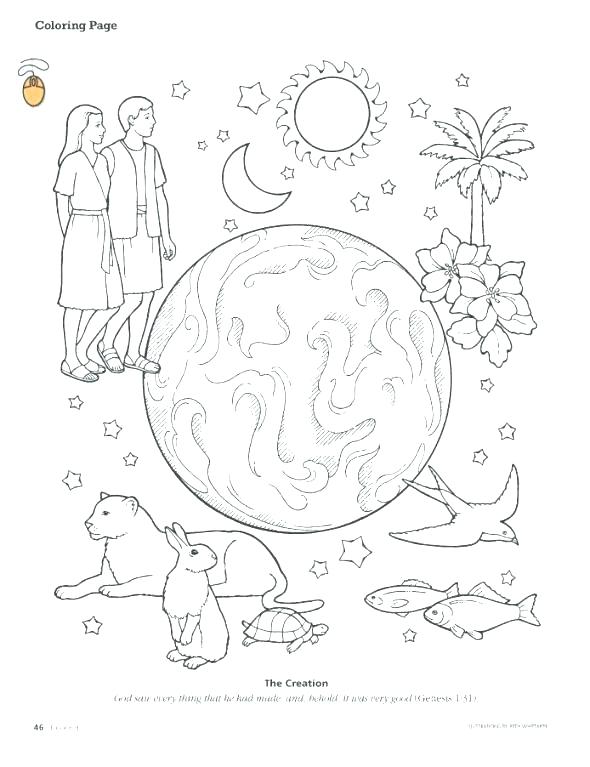 590x767 Creation Coloring Page Creation Coloring Page And Coloring Sheet
