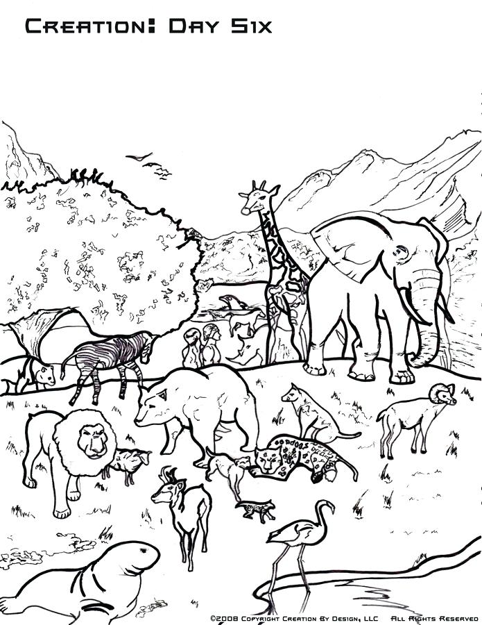 695x900 Sunday School Coloring Pages Creation Coloring Pages For School