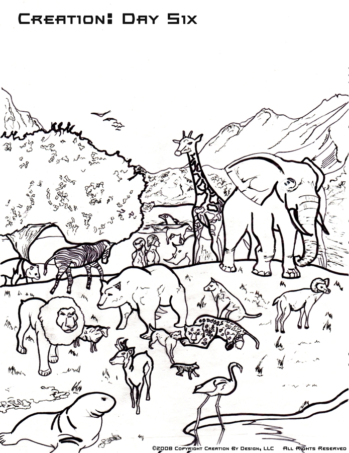 695x900 Category Free Coloring Pages For Children Games