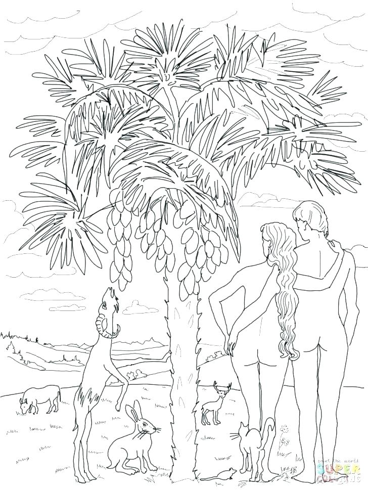 728x971 Coloring Pages God Created The Heavens And Earth Gods Creations