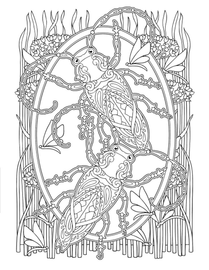 736x950 Creative Haven Awesome Insect Coloring Pages