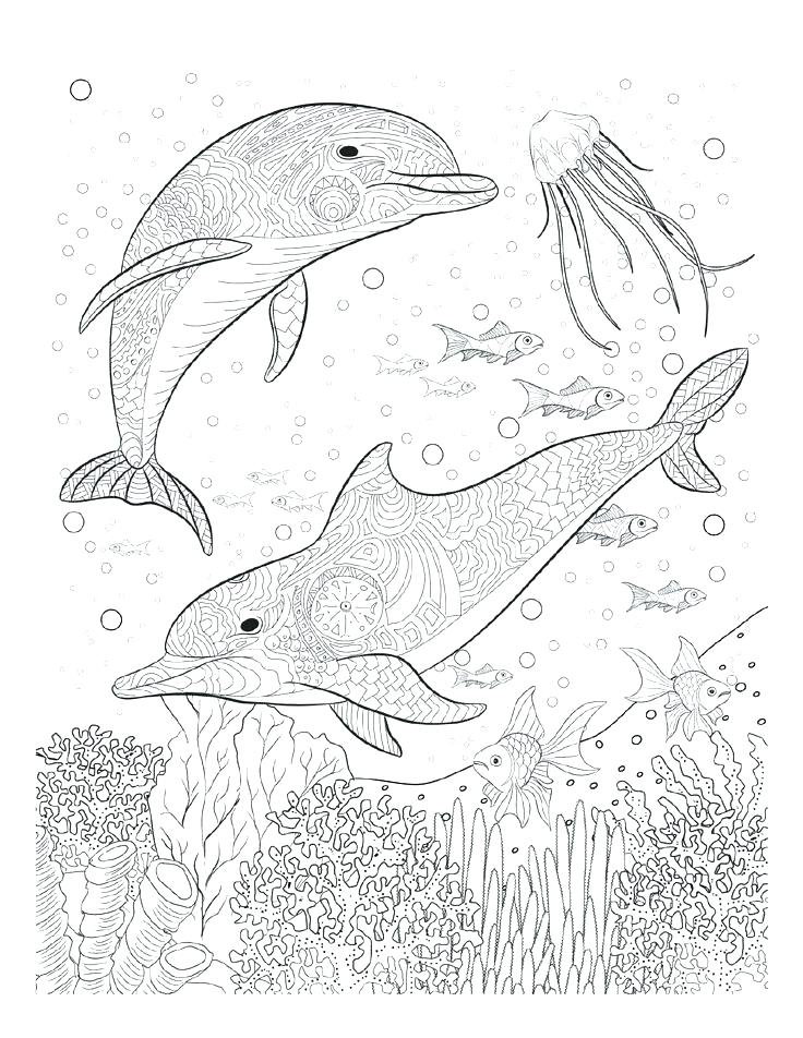 736x952 Creative Coloring Pages For Adults