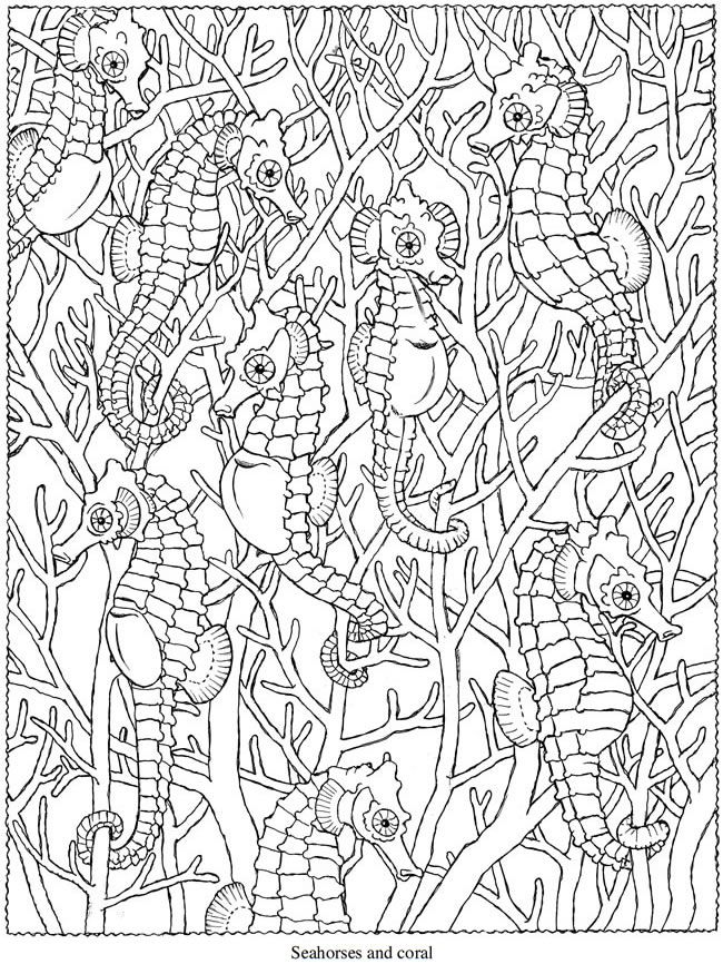 650x866 Best Coloring Pages Images On Coloring Books