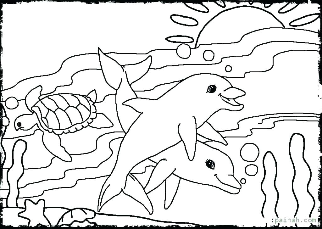 1024x728 Sea Creature Coloring Pages Coloring Pages Sea Animals Coloring
