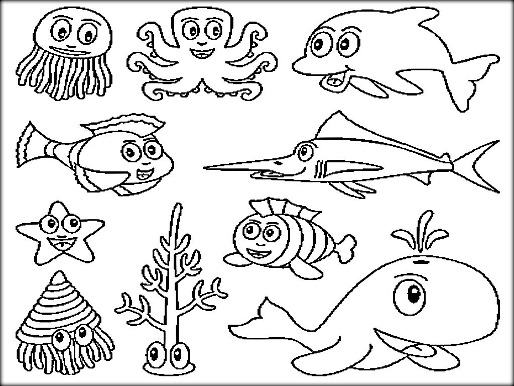 1024x768 Daring Pictures Of Ocean Animals To Color Unde