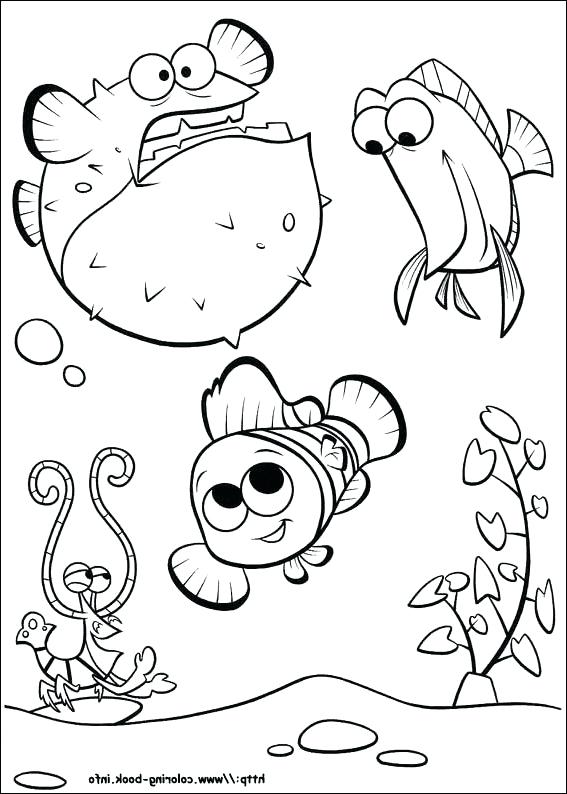 567x794 Nemo Coloring Pages Coloring Trend Medium Size Finding The Best