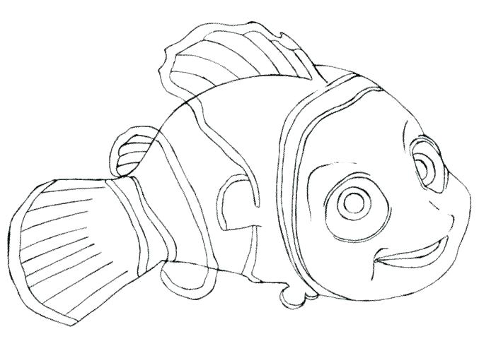 677x490 Nemo Colouring Pages Printable Coloring Finding Kids Poster