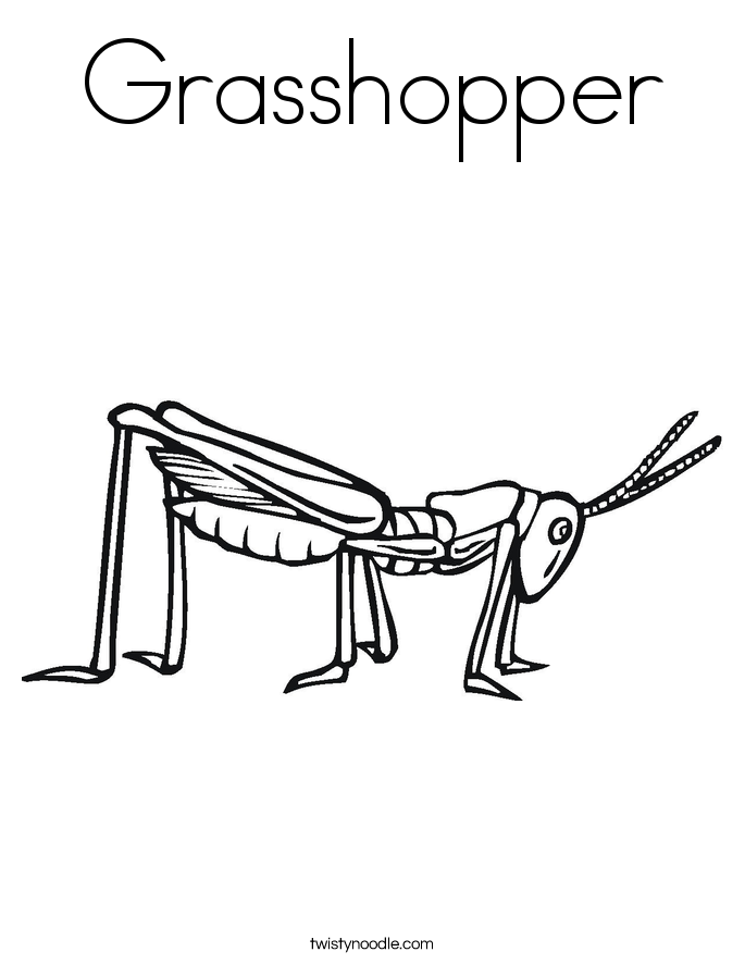 685x886 Cricket Coloring Page