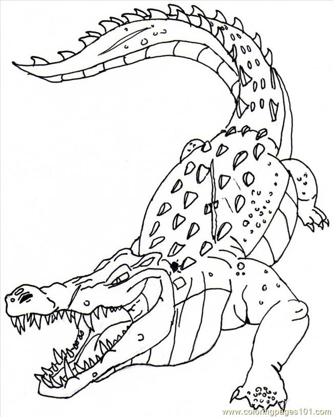 650x814 Crocodile Coloring Page