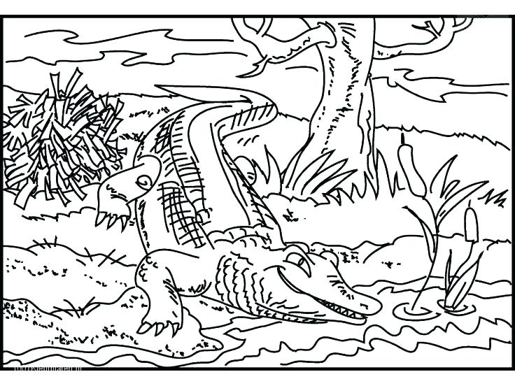 736x552 Crocodile Coloring Page Crocodile Coloring Page Crocodile