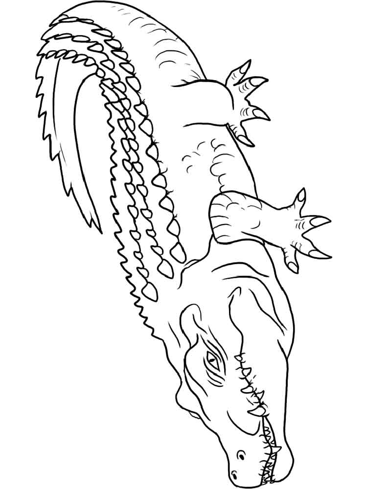 750x1000 Drawn Crocodile Coloring Page