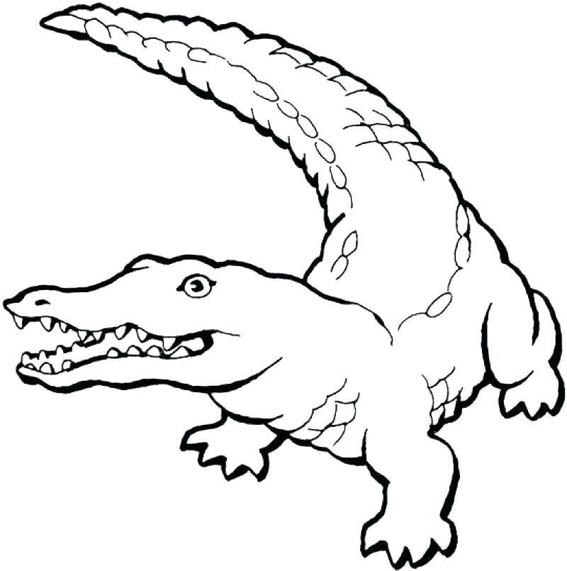 800x805 Crocodile Coloring Page Crocodile Coloring Pages Alligator