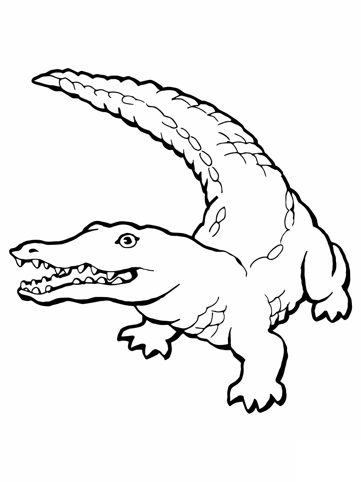 1200x1600 Free Printable Crocodile Coloring Pages For Kids